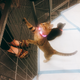 Image for article titled We Went To The Puppy Bowl And Brought Back Pictures Of Very Good Doggies And Cats